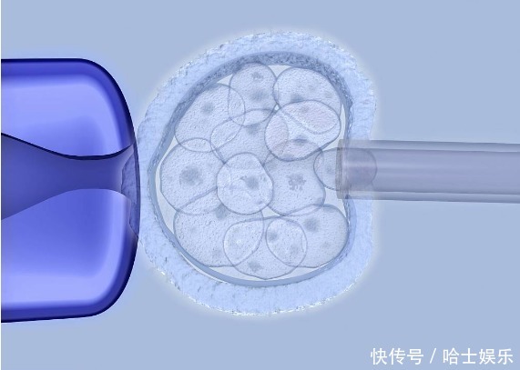 徐州妇幼借卵做试管的成功率在江苏省是最高的吗