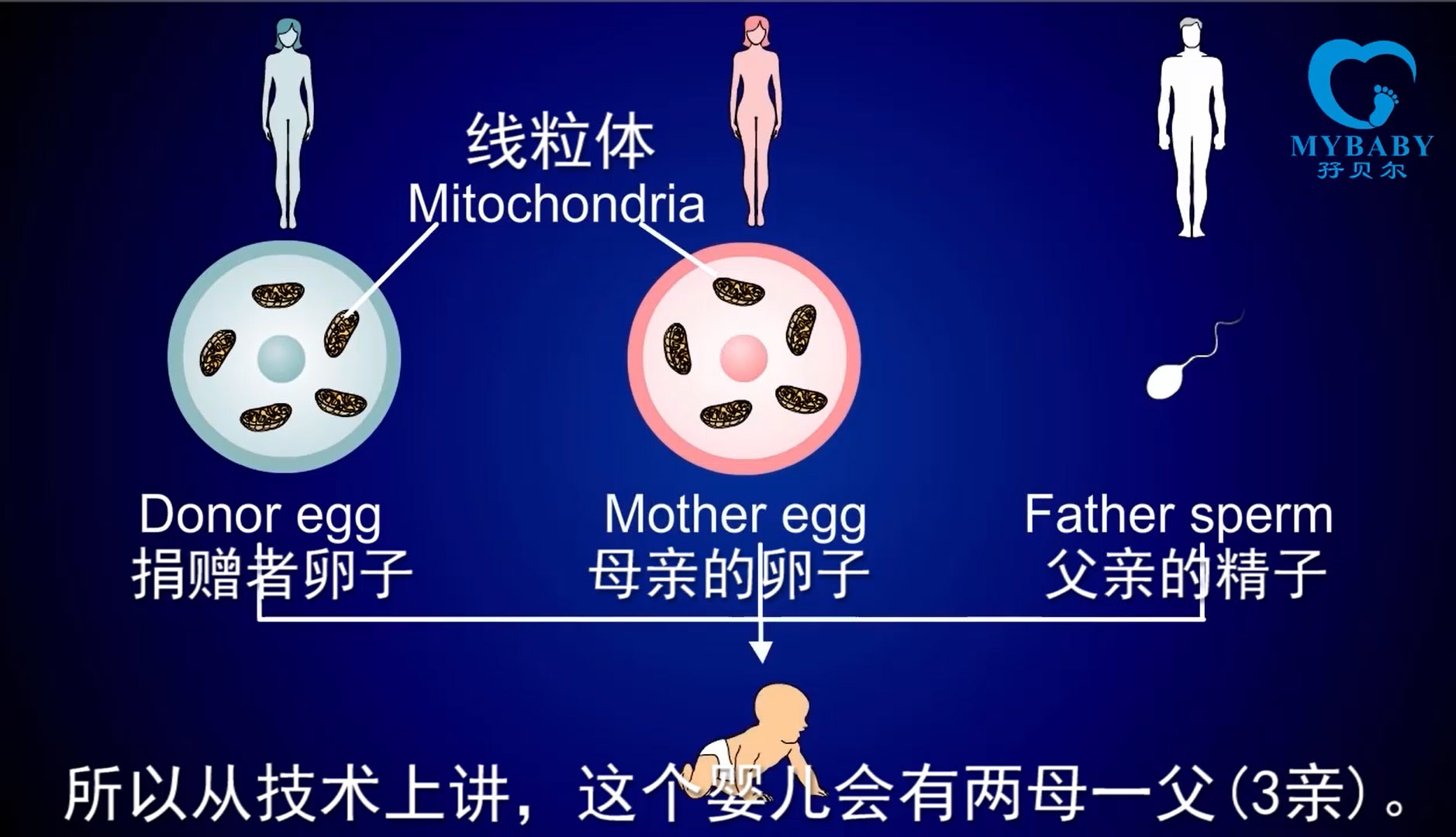 妇科炎症虽常见,但降低供卵试管成功率就事大了!