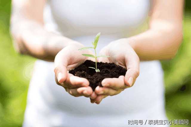 卵巢早衰后突然怀孕了